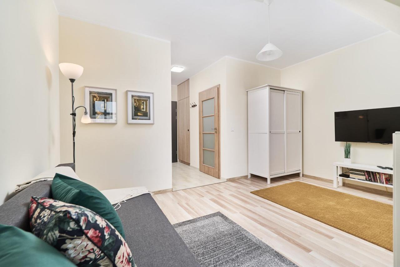 Under The Wroclove Sky By Renters *